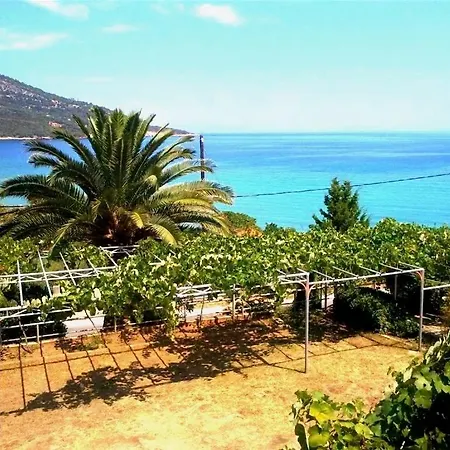 Guest house Hotel Kinira 2*
